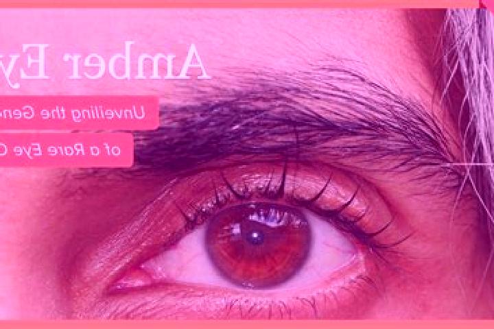 Clara, 34, a black amber-eyed caribbean companion based in Brejinho. Offering GFE, CIM, 69. Available for incall and outcall, overnight bookings available.