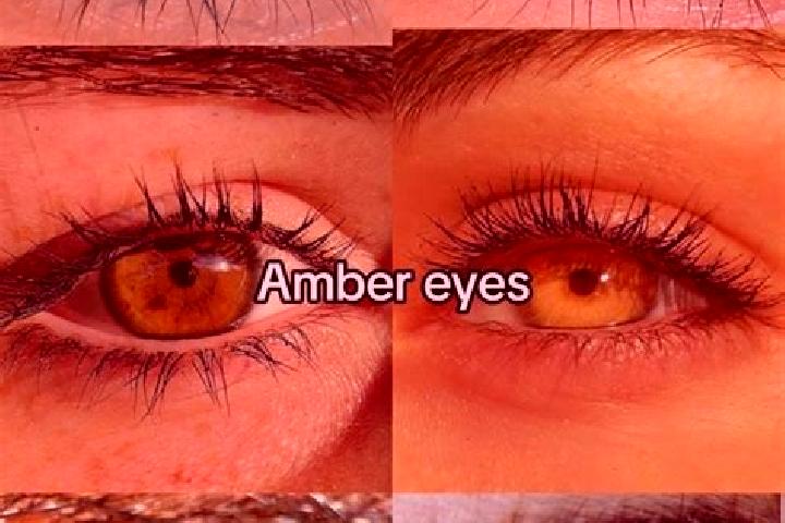 Clara, 34, a chestnut amber-eyed caucasian companion based in Mirabeau. Offering Overnight, Domination, CIM. Available for incall and outcall, day and evenin...