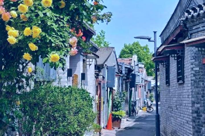 Clara, 34 — Escort in Beiling, China