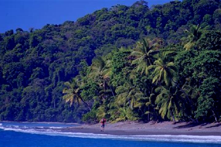 Clara, 35 — Escort in El Corcovado, Mexico