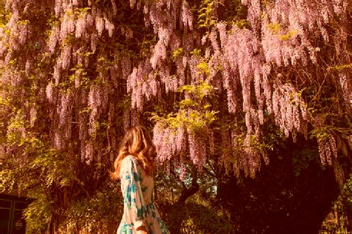 Clara, 35 — Escort in Schitu, Romania
