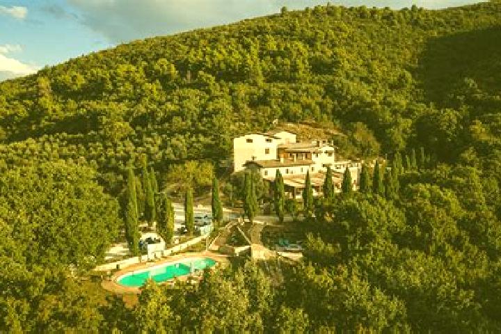 Clara, 36, a blonde grey-eyed european companion based in San Martino alla Palma. Offering Dinner Date, Party Girl, Couples, Domination. Available for incall...