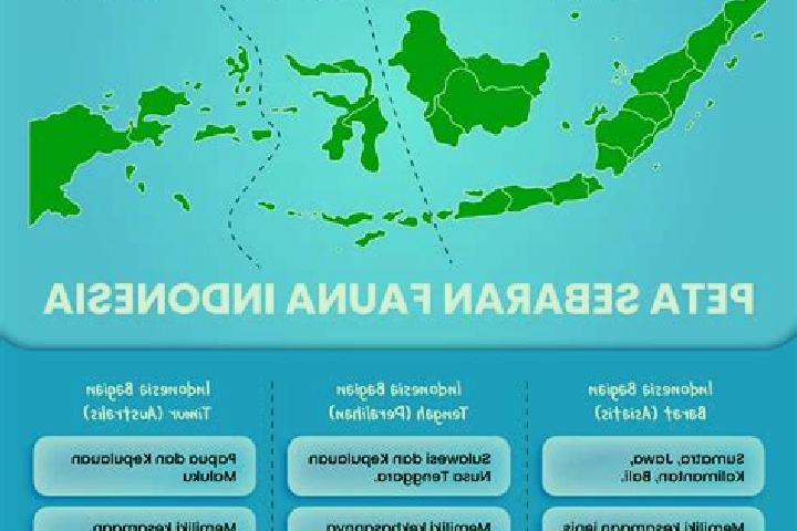 Clara, 36 — Escort in Gumuk Tengah, Indonesia