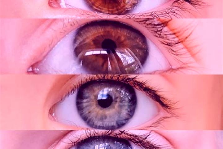 Clara, 37, a chestnut hazel-eyed caucasian companion based in Pilastri. Offering CIM, Couples, Domination. Available for incall and outcall, overnight bookin...