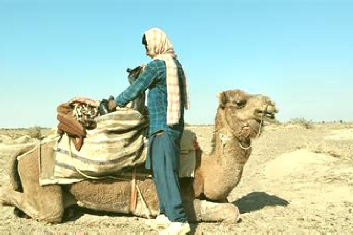 Clara, 37 — Escort in Dasht-e Archi, Afghanistan