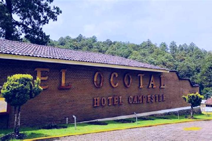 Clara, 37 — Escort in El Ocotal, Mexico