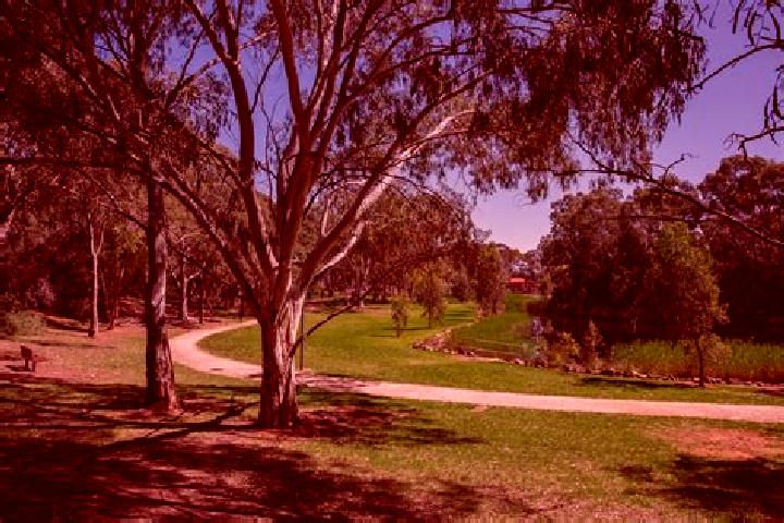 Clara, 37 — Escort in Salisbury Park, Australia