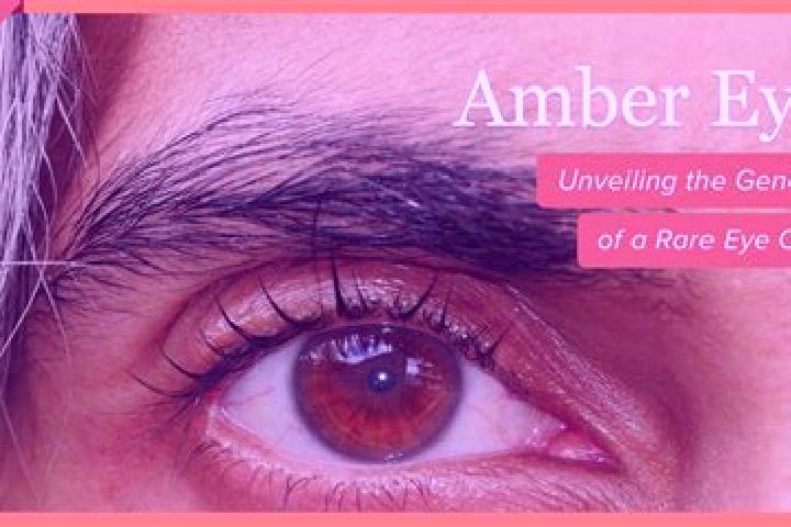 Clara, 38, a black amber-eyed european companion based in Almazan. Offering Overnight, 69, Tantra, Travel Companion. Available for incall and outcall, overni...
