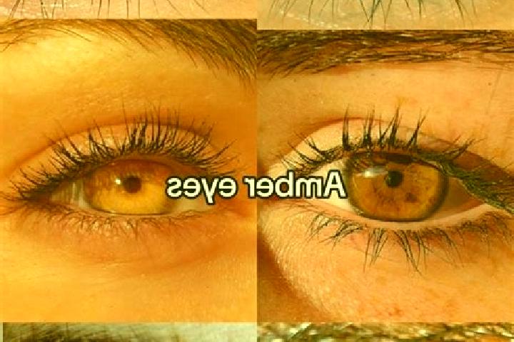 Clara, 38, a chestnut amber-eyed mixed companion based in Afam. Offering Roleplay, Dinner Date, 69, A-Level. Available for incall and outcall, overnight book...