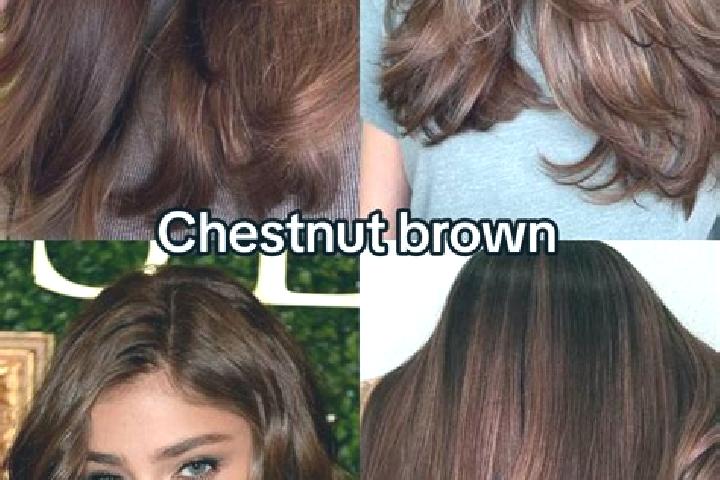 Clara, 38, a chestnut brown-eyed asian companion based in Kuseifa. Offering Duos, Couples, Domination, Girlfriend Experience. Available for incall and outcal...