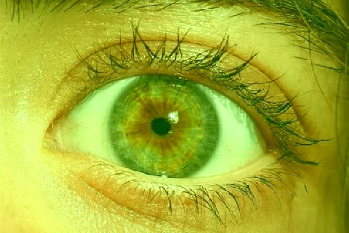 Clara, 38, a red hazel-eyed mediterranean companion based in Almolonga. Offering Domination, Overnight, A-Level. Available for incall and outcall, day and ev...