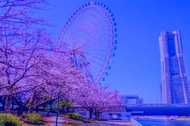 Clara, 38 — Escort in Minatomirai, Japan