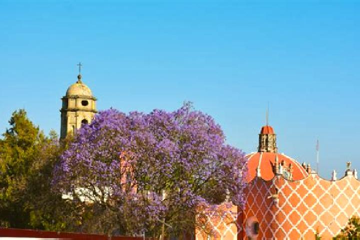 Clara, 38 — Escort in Tlahuac, Mexico