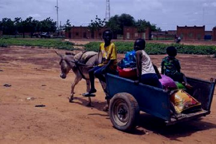 Clara, 38 — Escort in Torodi, Niger