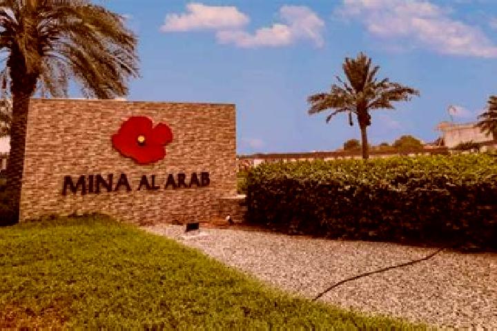 Clara, 39 — Escort in Al Harjah, Yemen