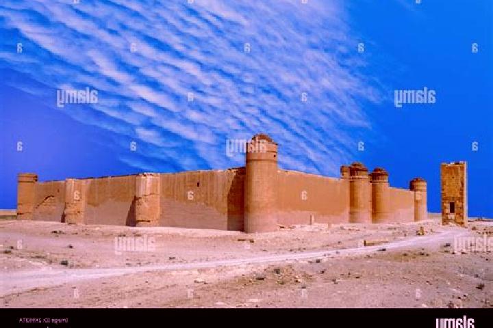 Eleanor, 21 — Escort in As Sukhnah, Syria