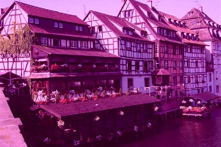 Eleanor, 21 — Escort in Horben, Germany