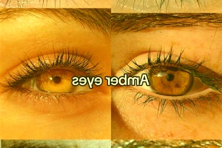 Eleanor, 22, a brunette amber-eyed asian companion based in Fuenlabrada de los Montes. Offering Domination, Overnight, Dinner Date. Available for incall and ...