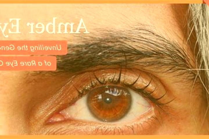 Eleanor, 22, a red amber-eyed caribbean companion based in Vazany nad Litavou. Offering Dinner Date, Tantra, Prostate Massage. Available for incall and outca...