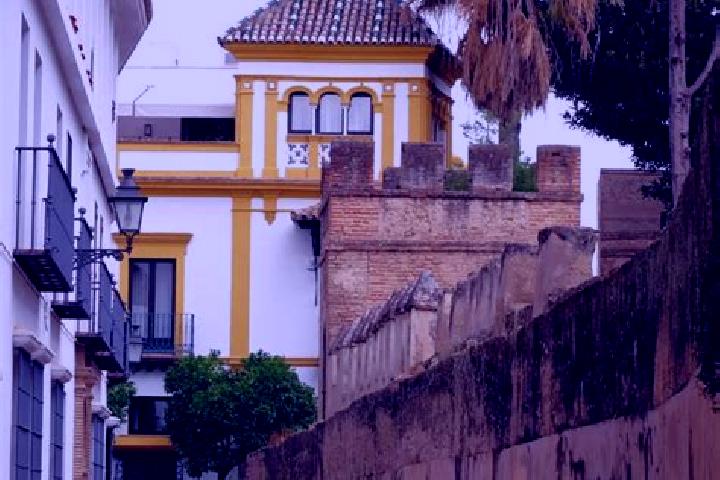 Eleanor, 22 — Escort in Barrio Santa Cruz, Mexico
