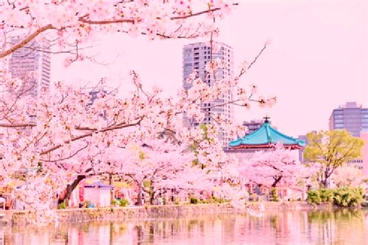 Eleanor, 22 — Escort in Ueno-ebisumachi, Japan