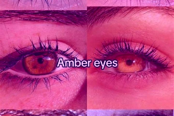 Eleanor, 24, a brunette amber-eyed caribbean companion based in Agarakavan. Offering Domination, CIM, GFE. Available for incall and outcall, overnight bookin...