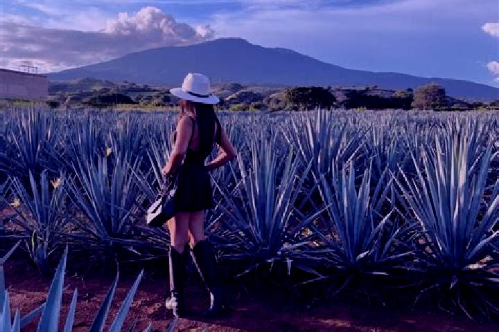 Eleanor, 24 — Escort in San Julian, Mexico