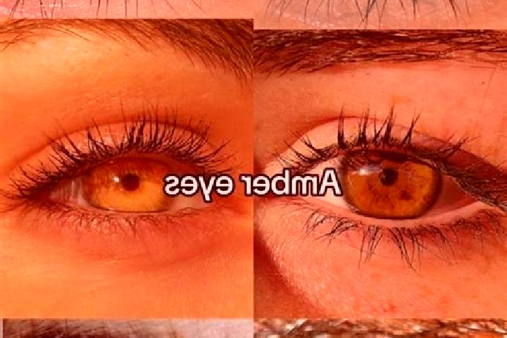 Eleanor, 26, a chestnut amber-eyed caucasian companion based in Babrala. Offering Fetish, GFE, A-Level. Available for incall and outcall, day and evening dates.