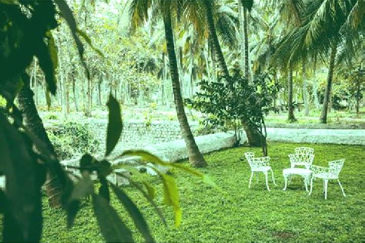 Eleanor, 26 — Escort in Kinattukkadavu, India