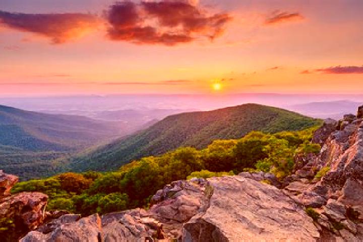 Eleanor, 27 — Escort in Back Mountain, United States
