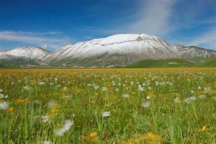 Eleanor, 28 — Escort in Castelluccio dei Sauri, Italy
