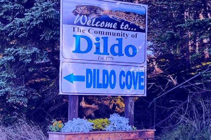 Eleanor, 28 — Escort in Dildo, Canada