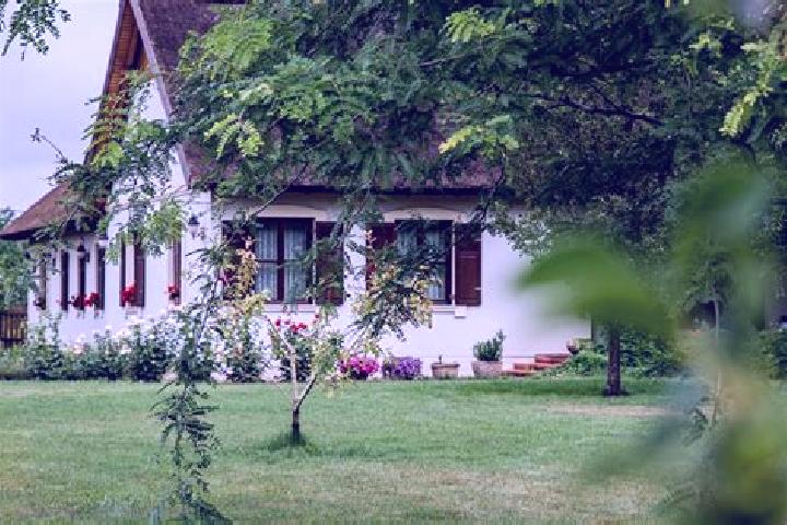 Eleanor, 30 — Escort in Paszab, Hungary