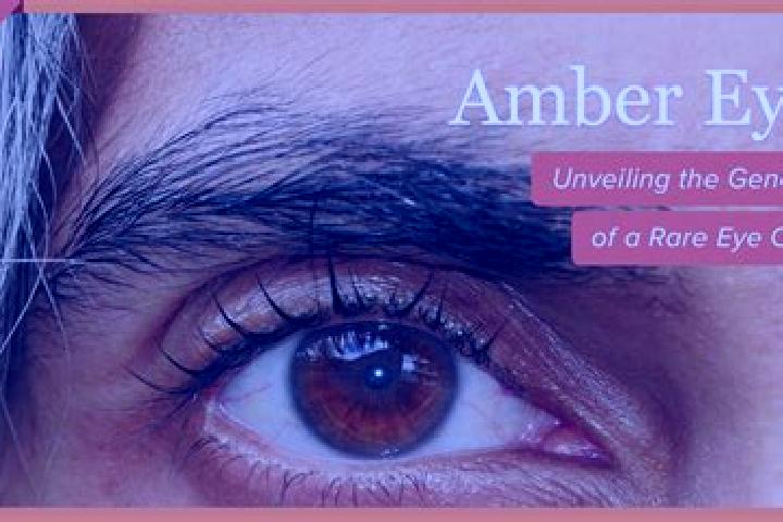 Eleanor, 32, a black amber-eyed indian companion based in Cabezon de Cameros. Offering Couples, A-Level, Dinner Date. Available for incall and outcall, overn...