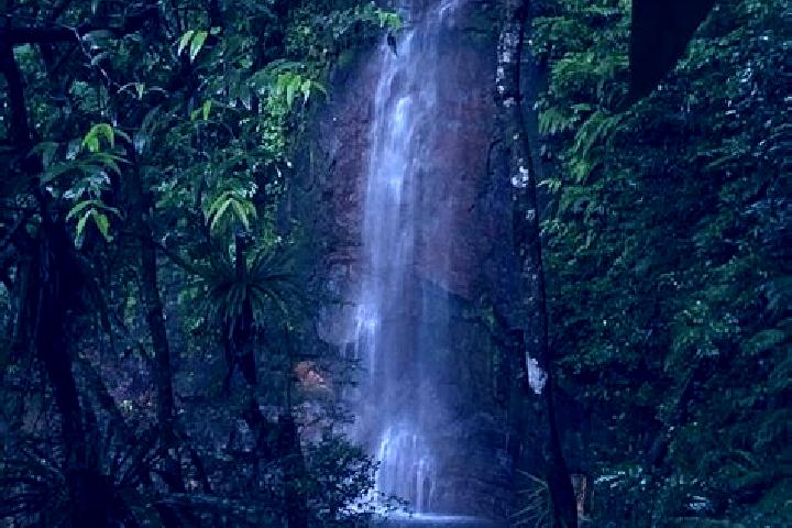 Eleanor, 32 — Escort in Gonzaga, Brazil