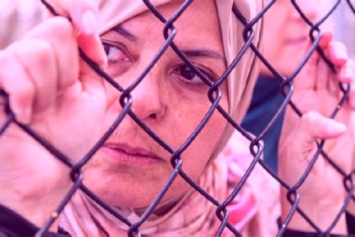 Eleanor, 33 — Escort in Mirkah, Palestine