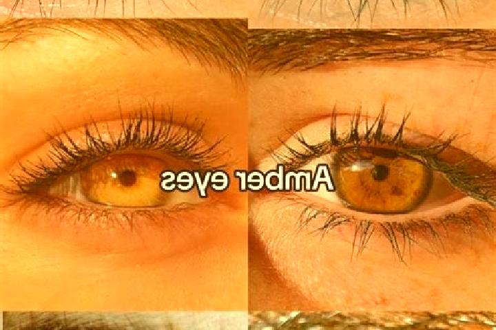 Eleanor, 37, a chestnut amber-eyed mediterranean companion based in Garlasco. Offering Girlfriend Experience, Duos, Tantra. Available for incall and outcall,...