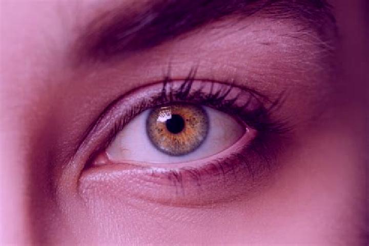 Eleanor, 37, a chestnut hazel-eyed mixed companion based in Forbach. Offering Domination, 69, BDSM, Overnight. Available for incall and outcall, overnight bo...