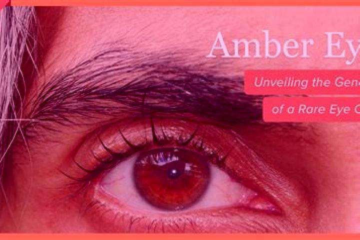 Eleanor, 37, a red amber-eyed indian companion based in Manderscheid. Offering Domination, Tantra, BDSM, Duos, Massage. Available for incall and outcall, ove...