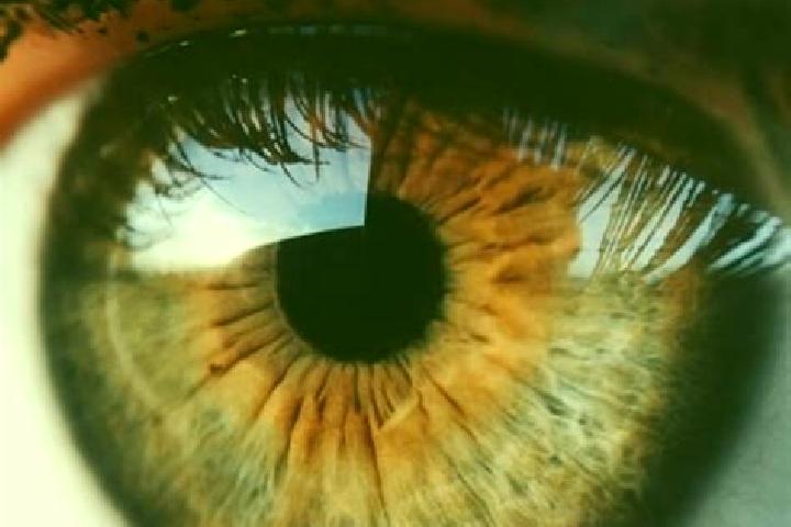Eleanor, 39, a blonde hazel-eyed asian companion based in Trebnitz. Offering GFE, BDSM, Duos, Couples. Available for incall and outcall, overnight bookings a...