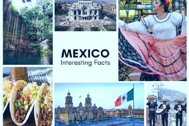 Elizabeth, 21 — Escort in Conejeras, Mexico