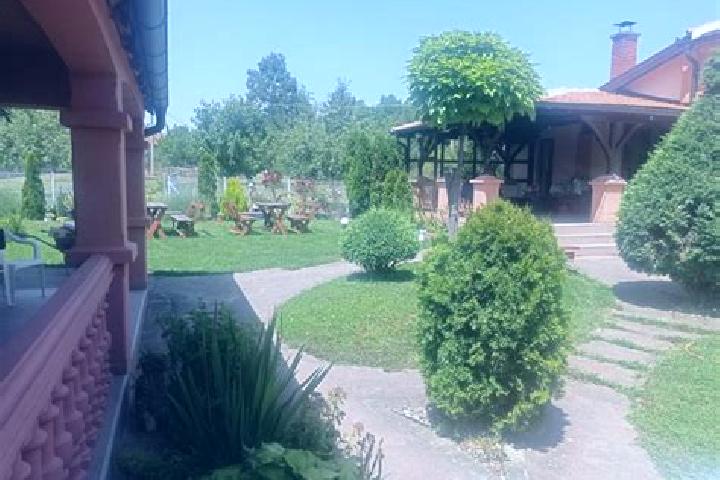 Elizabeth, 21 — Escort in Stepojevac, Serbia
