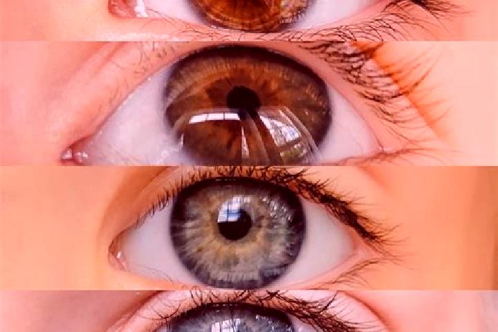 Elizabeth, 24, a chestnut hazel-eyed caribbean companion based in Hervanta. Offering 69, Roleplay, Tantra. Available for incall and outcall, day and evening ...