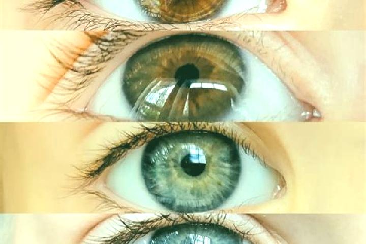 Elizabeth, 25, a chestnut grey-eyed middle eastern companion based in Rouge. Offering Duos, GFE, Couples, Fetish, OWO. Available for incall and outcall, over...