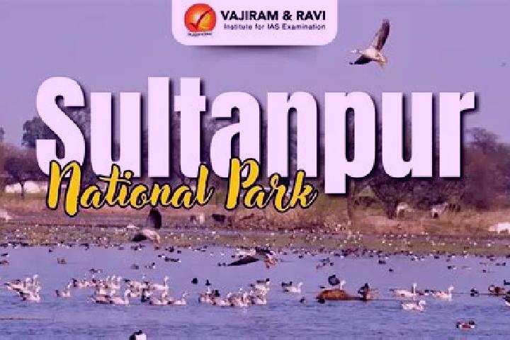 Elizabeth, 25 — Escort in Sultanpur-e Ulya, Afghanistan