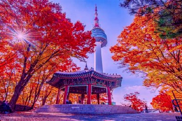 Elizabeth, 26 — Escort in Hwanggan, South Korea