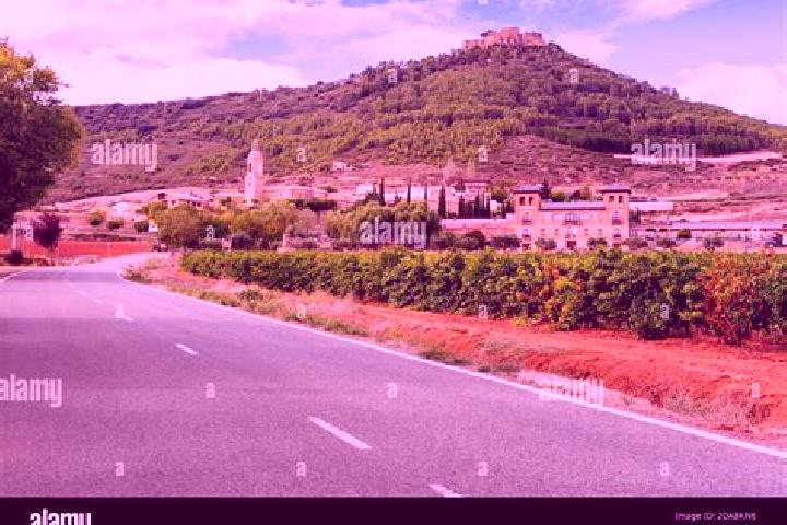 Elizabeth, 26 — Escort in Villamayor de Monjardin, Spain