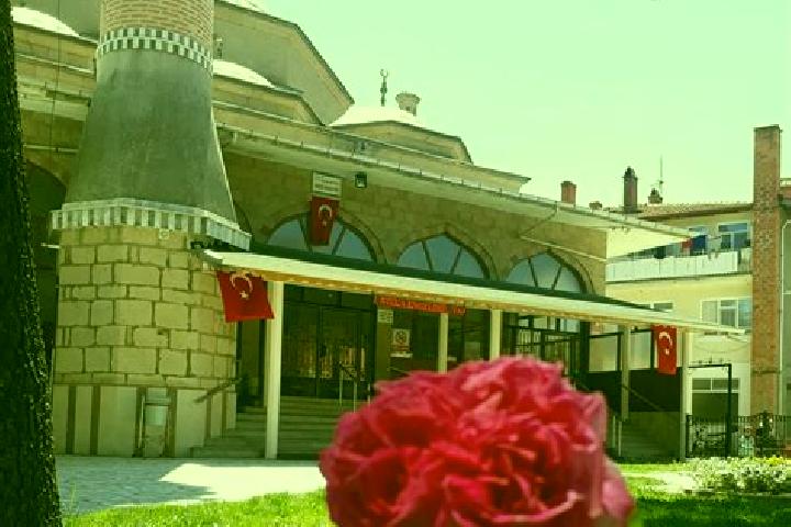 Elizabeth, 27 — Escort in Kurucay, Turkey