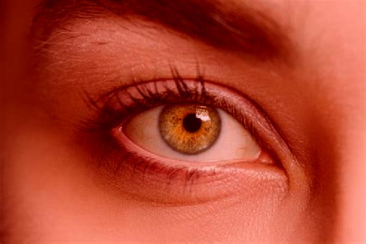 Elizabeth, 28, a chestnut hazel-eyed mixed companion based in Lierfeld. Offering Fetish, Erotic Massage, 69, BDSM. Available for incall and outcall, day and ...