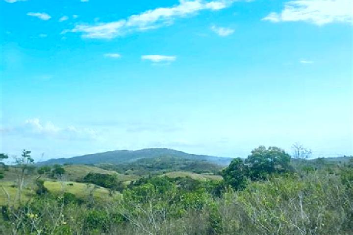 Elizabeth, 30 — Escort in Bajos de Gueera, Panama